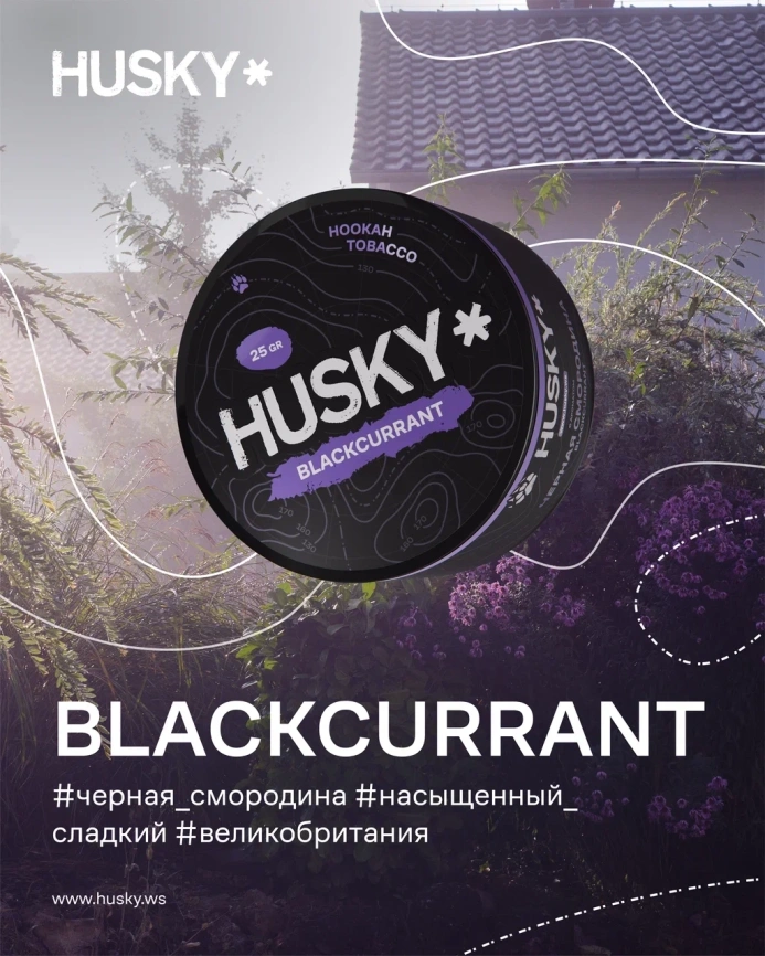 Табак для кальяна HUSKY с ароматом Blackcurrant (Черная Смородина) 25гр. МТ фото 1