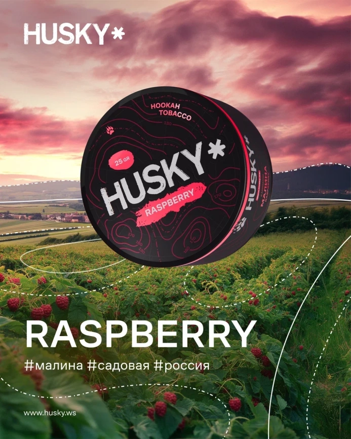 Табак для кальяна HUSKY с ароматом Raspberry (Малина) 25гр. МТ фото 1