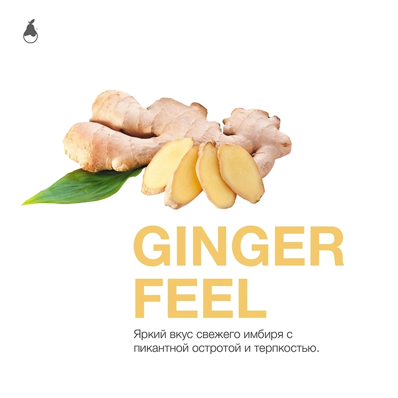 Табак для кальяна MattPear 50гр, Ginger Feel фото 1