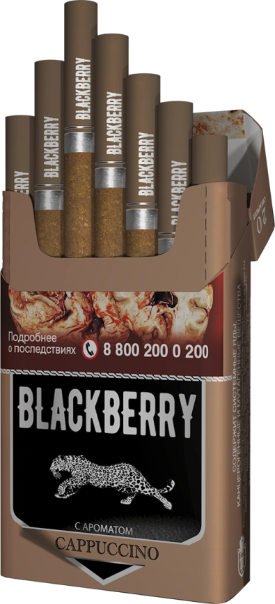 Сигариллы Blackberry CAPPUCCINO (20шт) фото 2
