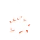Black Burn