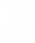 Shaman